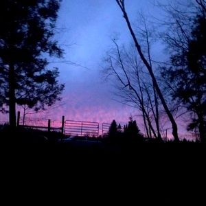 Meet your Posher, Belle